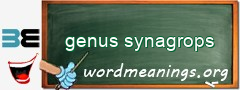 WordMeaning blackboard for genus synagrops